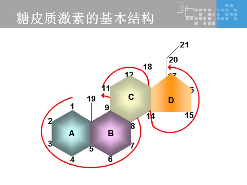 氟轻松是如何发挥其药理作用的？